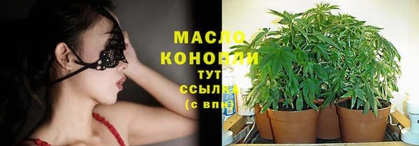 индика Михайловск