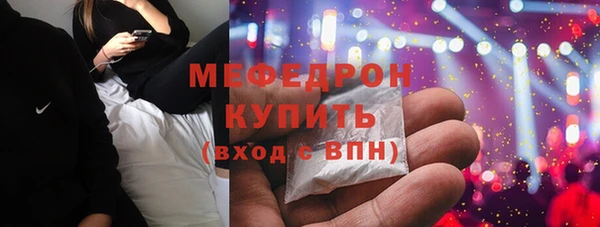 индика Михайловск