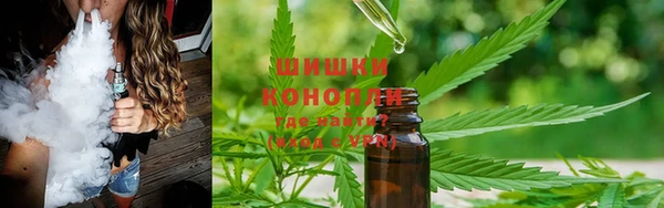 индика Михайловск