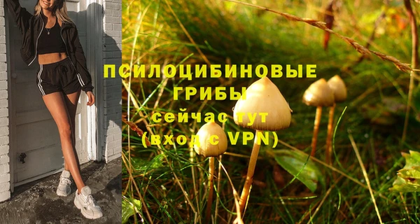 индика Михайловск