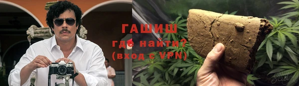 индика Михайловск