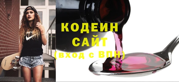 индика Михайловск