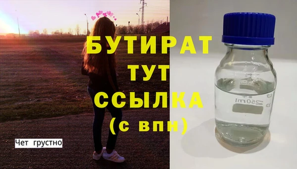 индика Михайловск