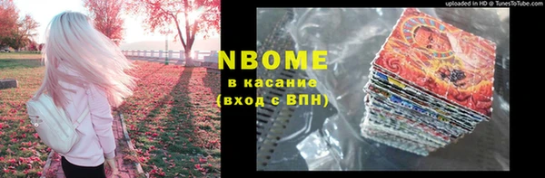 индика Михайловск