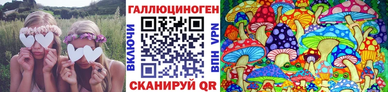 где продают наркотики Сочи Псилоцибиновые грибы ЛСД