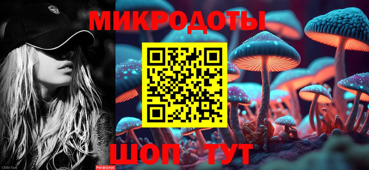 Галлюциногенные грибы Cubensis Сочи